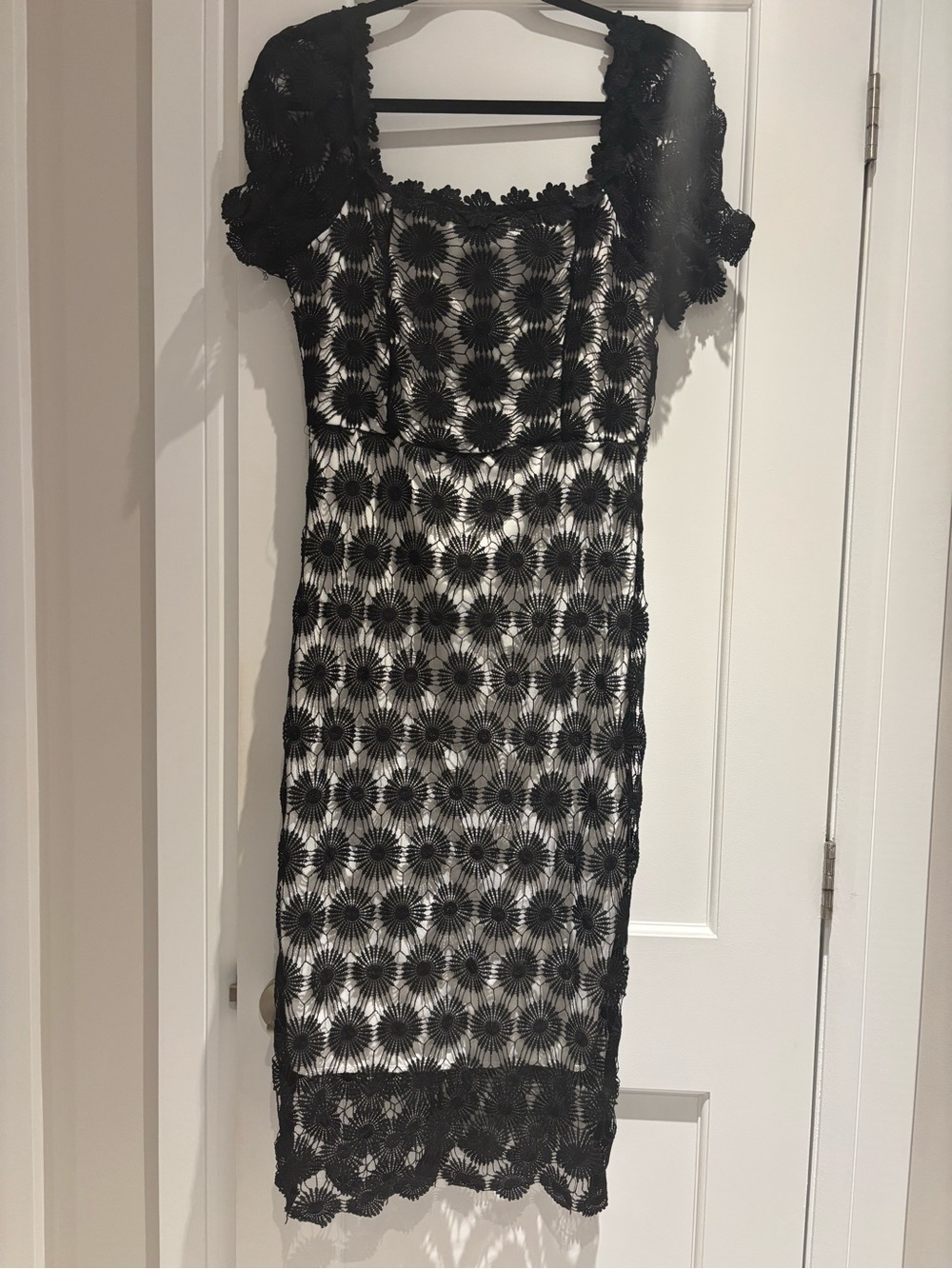 Black Lace Overlay Sheath Dress